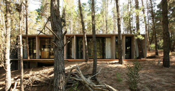 concrete house plans in forest