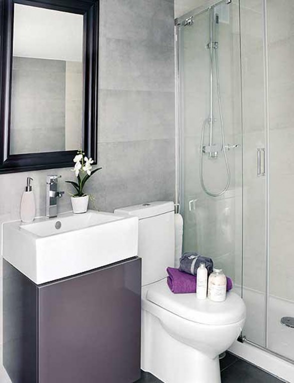 Intrinsic Interior Design Applied in Small Apartment Architecture - Bathroom
