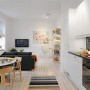 Contemporary Apartment Design in Small Loft Area and Bright Interior