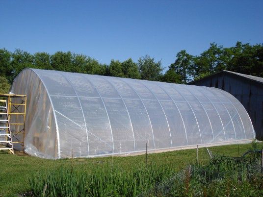 Plastic Greenhouse big