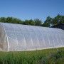 Plastic Greenhouse big
