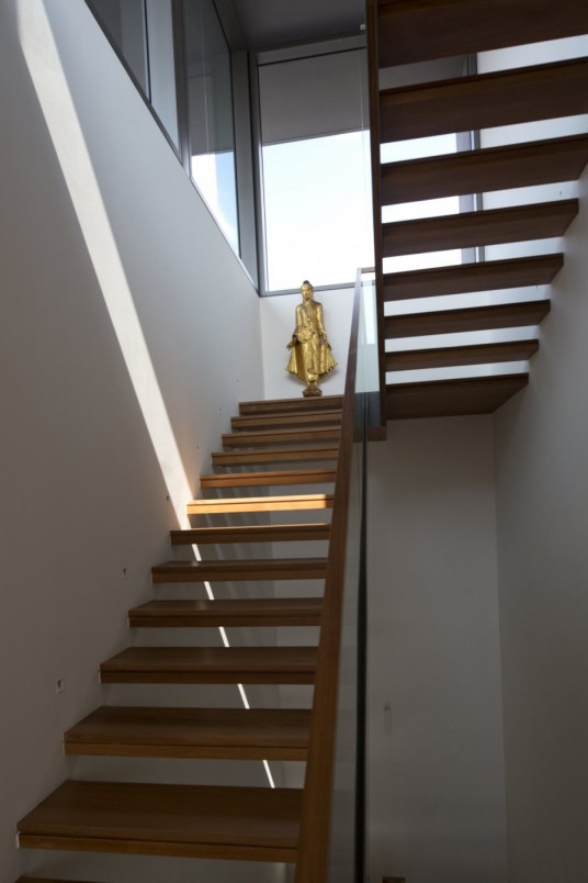Centennial Tree House Design Stairs