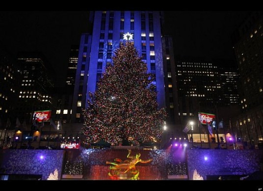 Beautiful Christmas Trees New York