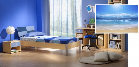 Natural Wooden Furniture Combination with Blue Color for Men Bedroom Look Cold