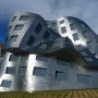 Frank Gehry Building