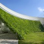 Architectural Garden Idea