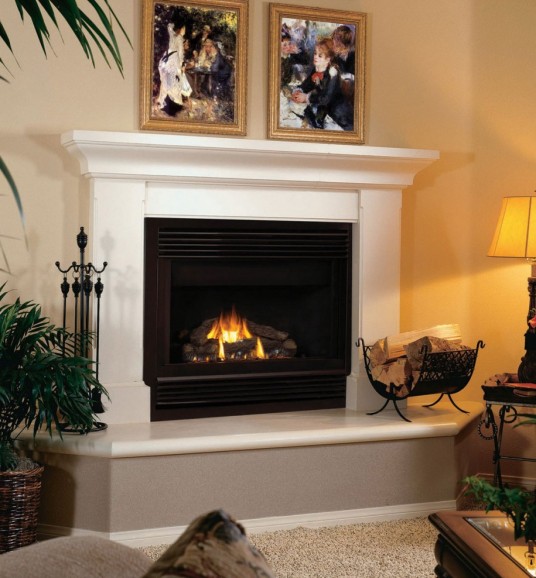 Modern Fireplace Picture